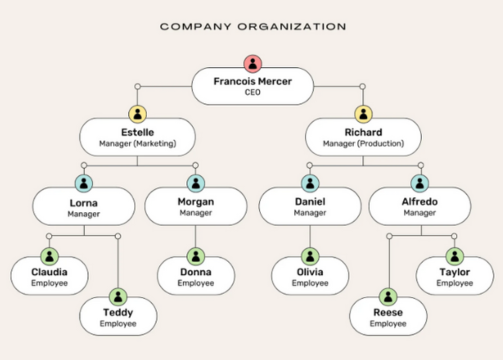 Organización Jerárquica y Representación